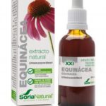 Equinácea Extracto SXXI, Soria Natural 50 ml