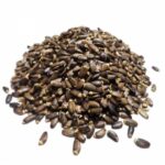 Propiedades del Cardo Mariano: remedio natural