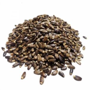 Propiedades del Cardo Mariano: remedio natural