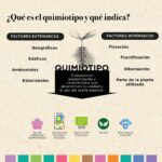 Aceite esencial bio naranja eladiet factores