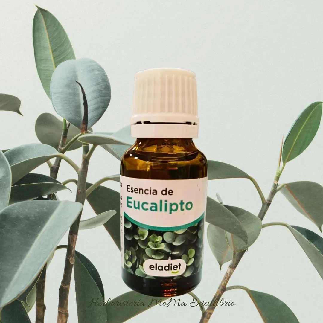 Aceite esencial puro de Eucalipto Eladiet Aceite esencial puro de Eucalipto Eladiet