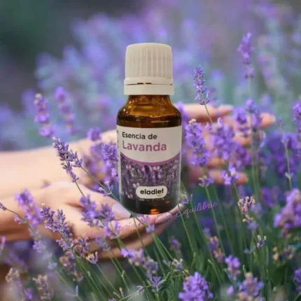 Aceite puro de Lavanda