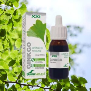Ginkgo Biloba Extracto