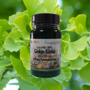 ginkgo biloba propiedades para la memoria