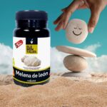 Melena de León propiedades y beneficios